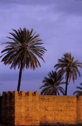  Les remparts de Marrakech