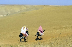  Paysages agricoles region de Meknes Maroc
