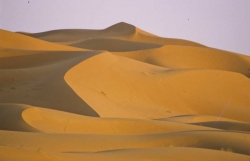  Les dunes de Merzouga, sud du Maroc, debut du desert du Sahara.